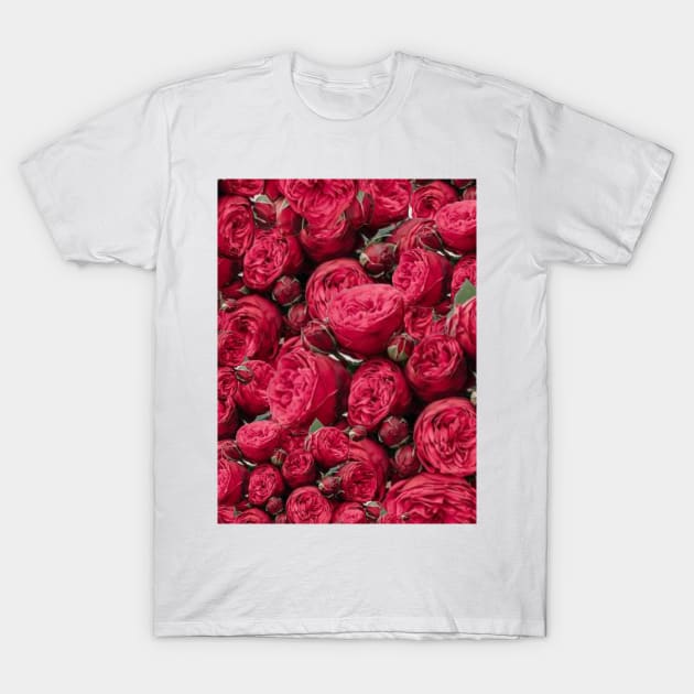 red roses to T-Shirt by Alegra Stoic